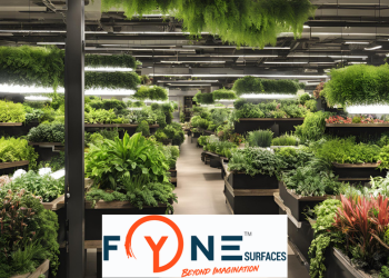 Fynesurface Case Study